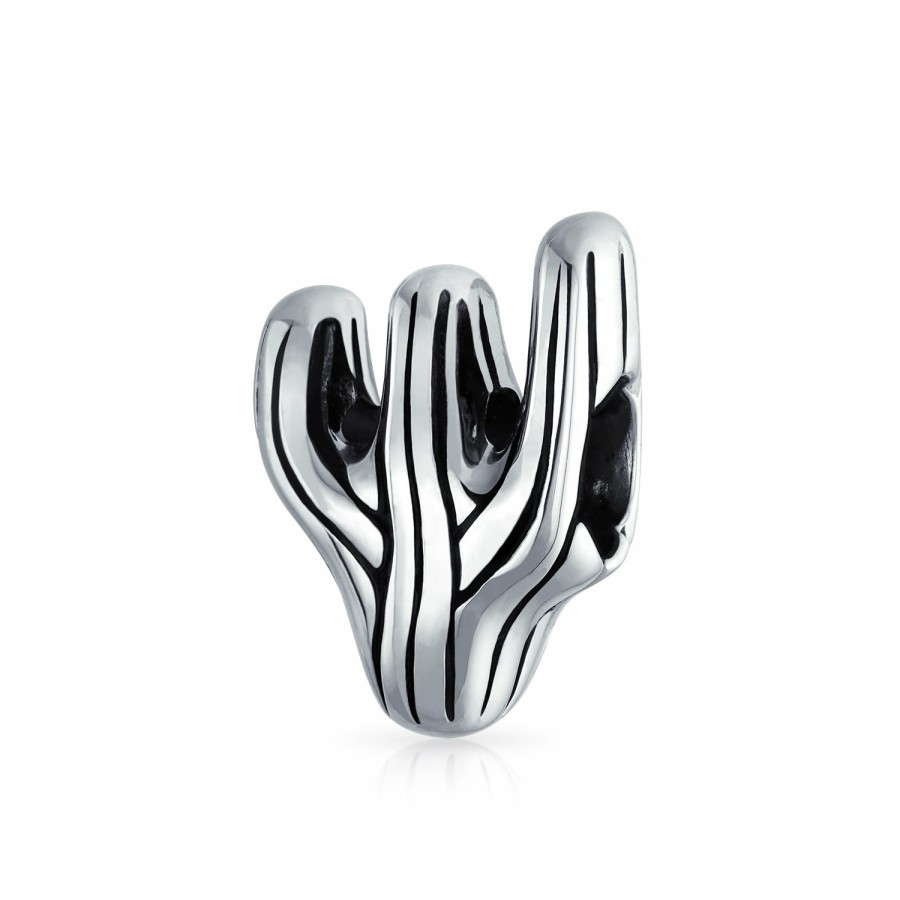 Shop Women Bling Jewelry Unique Charms | Sonoran Desert Cactus Travel Charm Bead .925 Sterling Silver European