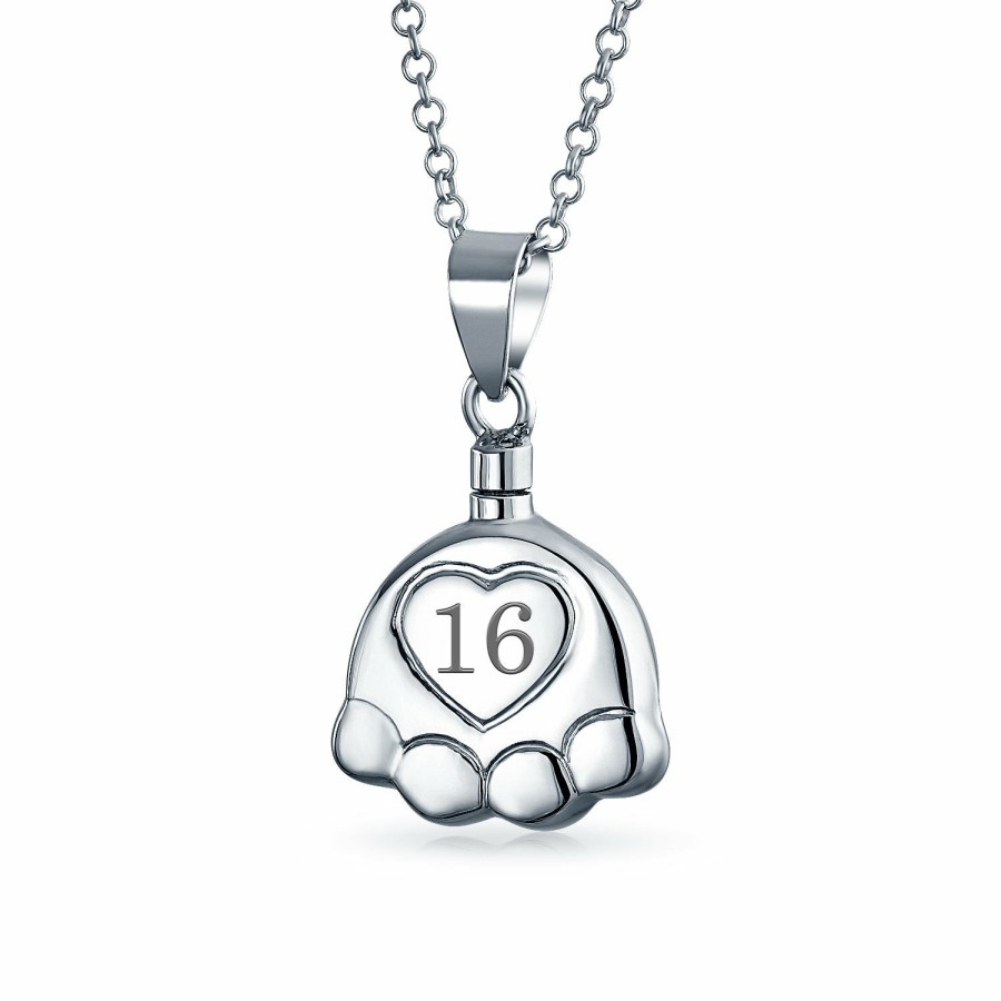 Shop Women Bling Jewelry Engravable Necklaces | Dog Cat Puppy Paw Print Cremation Locket Necklaces Pendant Silver