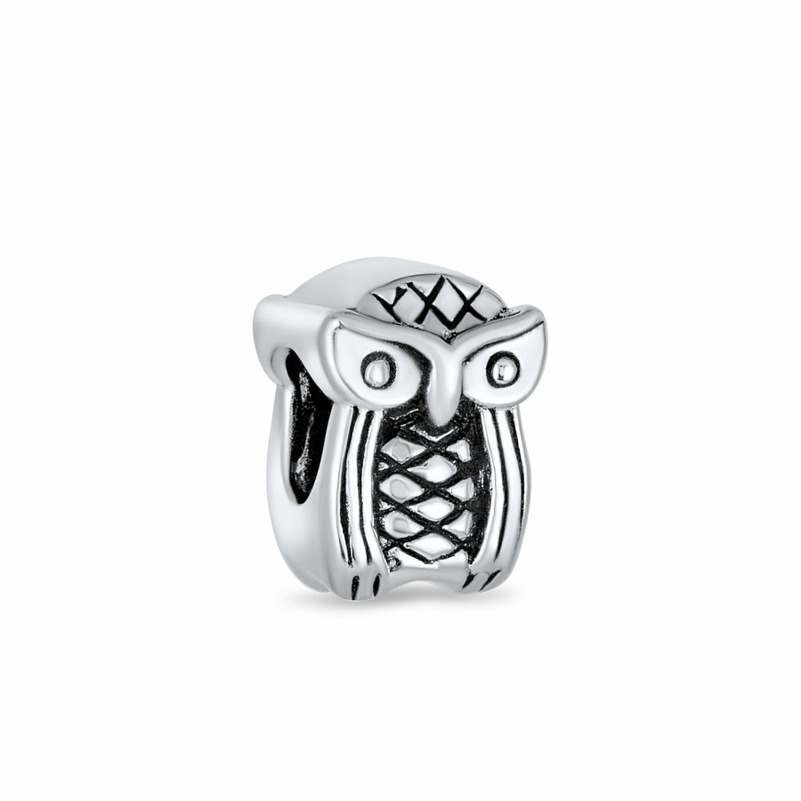 Shop Women Bling Jewelry Unique Charms | Wise Graduate Owl Bird Charm Bead .925 Sterling